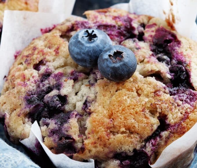 blueberry muffin