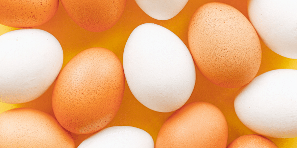 white vs brown eggs