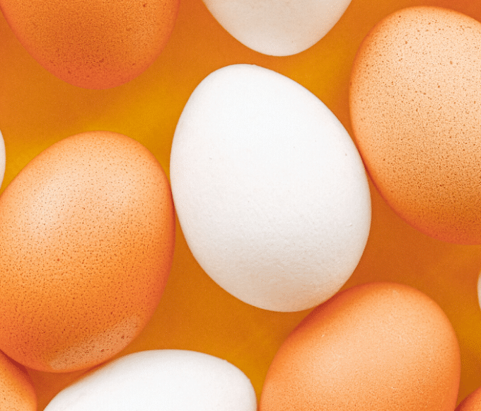 white vs brown eggs