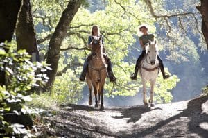 Benefits of Horseback Riding