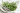 healing herbs