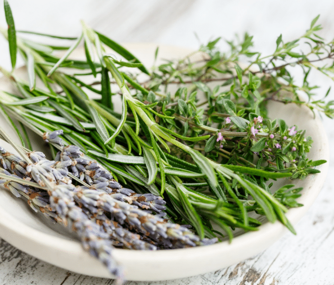 healing herbs