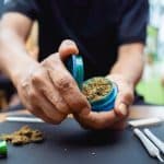 Common marijuana myths