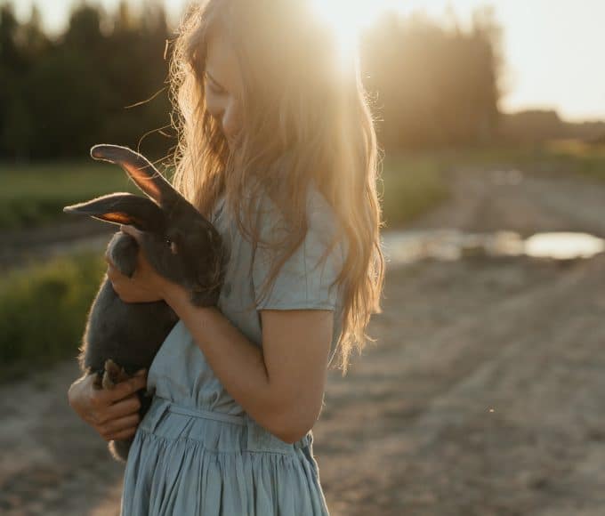 pet