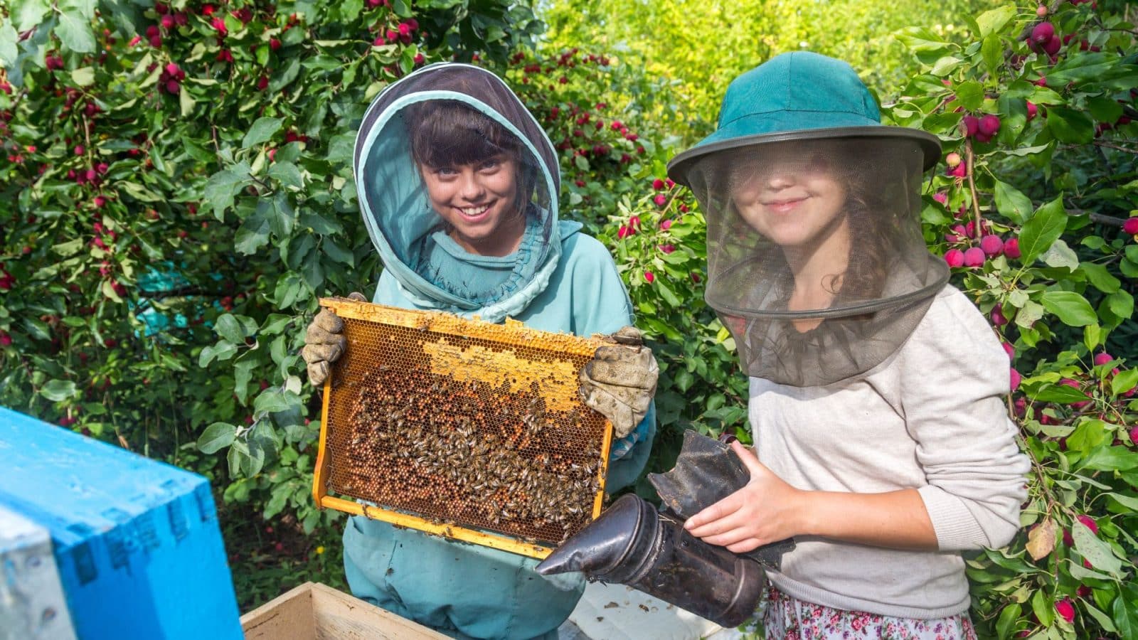 How Beekeeping Can Benefit Your Overall Health