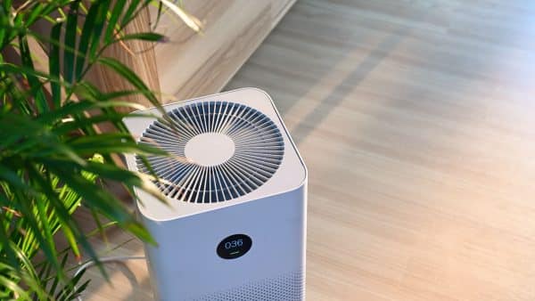 Best Places To Put an Air Purifier